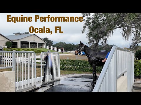 Epic Ocala Fl