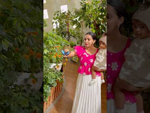 A magical day at the Butterfly Garden with my lil butterfly🦋✨ | Dubai | Malavika | Gulsu