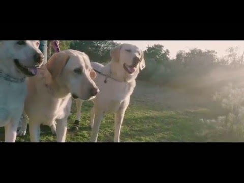 2016 02 13 Yami, Jack and Duke