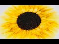 Vibrant Sunflowers Watch As The Colors Come Alive With Alcohol Ink