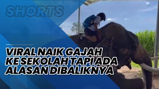 Viral Bocah Perempuan 11 Tahun Ini Naik Gajah ke Sekolah, Alasan Demi Menghemat Uang