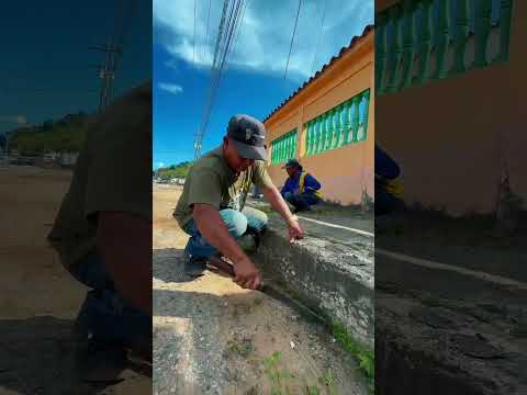 EL PLAN SUCRE IMPECABLE SE MANTIENE DESPLEGADO EN LA PARROQUIA BELLA VISTA