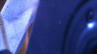 Stay-Lee DeWyze-Viper Alley