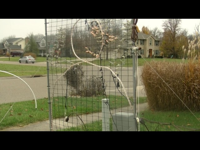 Behind the Scenes (2016)