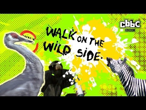 CBBC: Walk on The Wild Side - 'Ave it!