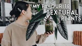 i could seriously touch these plants all day 😍