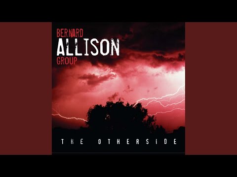 I Wouldn't Treat a Dog (The Way You Treated Me)