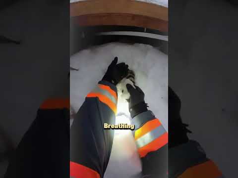 Cat Trapped in Collapsed Barn | Rescue Back to Life! 🐱❄️❤️ #animalrescue