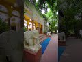 Diggi Palace Jaipur: Experience Royal Heritage and Luxury in Rajasthan