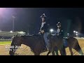 See for yourself: Echo Zulu, Epicenter work for KY Oaks, Derby