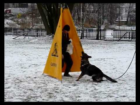 Aischa z Jukasu - defence