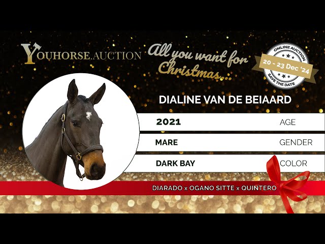 Dialine van de Beiaard Z
