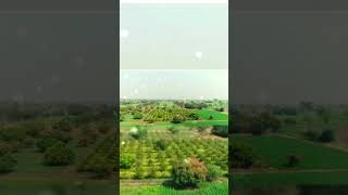 Download lagu mera Madhya Pradesh hai sukh ka data sabka sathi sukh ka y #short#viralvideo mp3