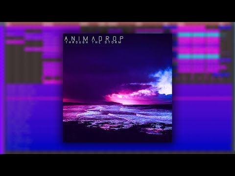 Animadrop - Through the Storm