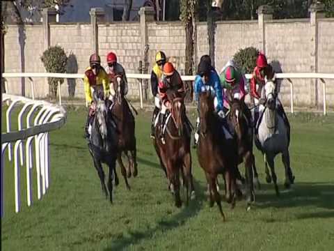 2016.10.29 Premio Giovanni Falck (ITA) - Strawberry Martini