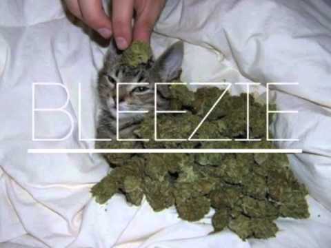 Bleezie - Cat Drool (Prod. by Osvaldo Torres)