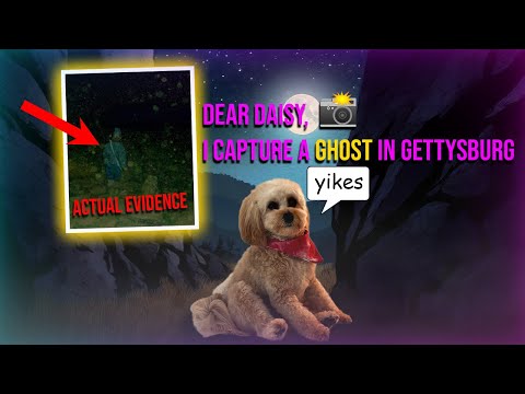 Dear Daisy, Did My Grandma Kill My Grandpa