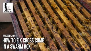 How to Fix Cross Comb in a Swarm Box - The Bush Bee Man