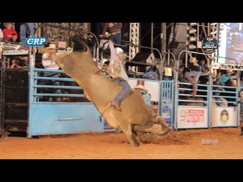 Rodeio de Oscar Bressane 2017 - MELHORES TOUROS / QUINTA FEIRA