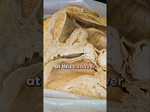 Controversy About Female Erections?