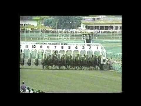 CHARLIE - Clásico Confederación Hípica Del Caribe 1991