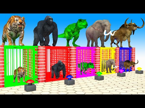 Cow Elephant T rex Gorilla Tiger Guess The Right Door ESCAPE ROOM CHALLENGE Animals Cage Game