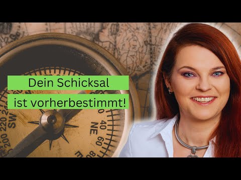 Dein Leben ist vorgeplant (Warum gibt es den Seelenplan?)