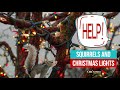 Help! Squirrels and Christmas Lights Help! Squirrels and Christmas Lights