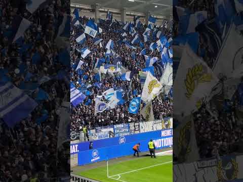 KSC Ole Ole Sabine Wittwer Wildparkstadion vor dem Spiel gegen Nürnberg #ksc #2bundesliga #fcn