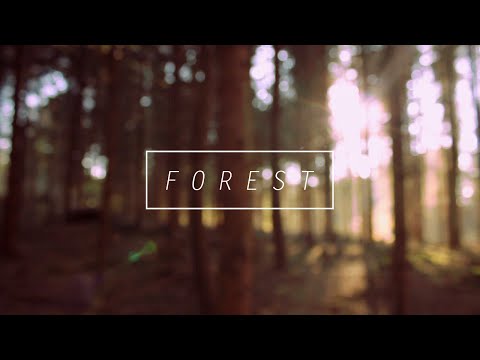 Forest - a short preview