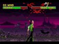 Mortal Kombat II Arcade Reptile VS Shang Tsung