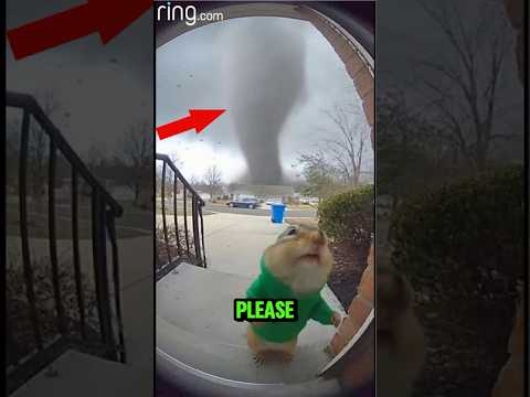Theodore Gets Sucked Into Tornado
