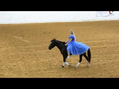 Mustang and "Cinderella" perform bridle less—Mustang Maddy at 2017 Mustang Magic Freestyle