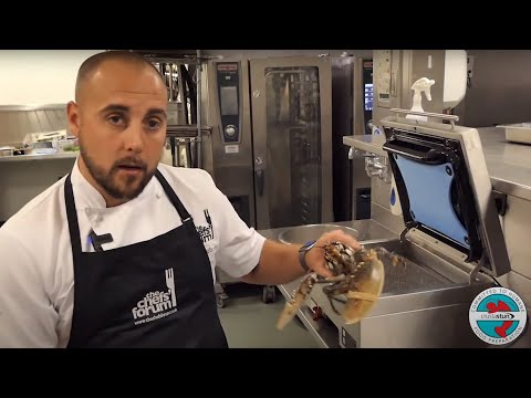 Crustastun - Carl Cleghorn Creates A Delicious Lobster Dish Using The Crustustun