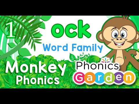 OCK WORD FAMILY | MONKEY PHONICS | Digraph | Phonics Garden