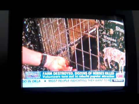 CNN - Orr Family Farm