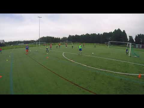 HJS 04/05 TYTÖT HARJ 18.8.2017 ( 2. Video )