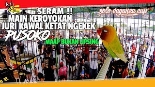 Download lagu SOLO VAGANZA CUP 2 : SERAM !! JURI KAWAL KETAT NGEKEK LOVEBIRD PUSOKO, MAAP BUKAN LIPSING ? mp3