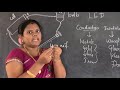 VIII Standard Science Physics DAY 9 LN 14 Chemical Effects Of Electric Current