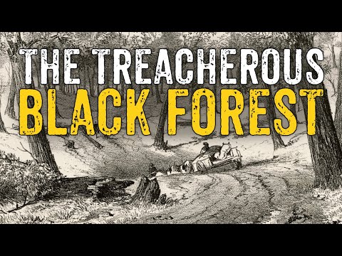 Is This the CREEPIEST Forest in Australia?