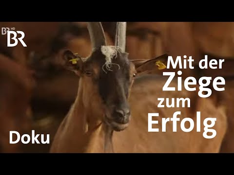 , title : 'Ziegen-Bauer Hans Kellner: Von der Milch zum Käse - auf den Markt | Unter unserem Himmel | BR  Doku'