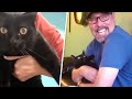 Man steals wife's cat