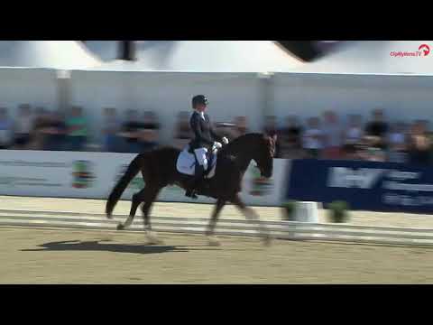 Vitalos par VITALIS - Champion d'Allemagne des 4ans
