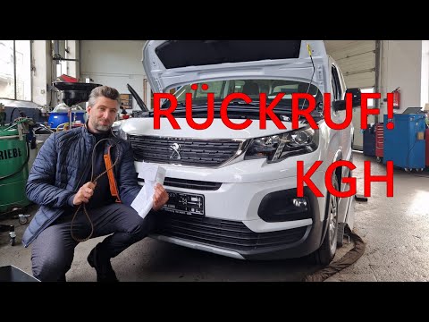 defekter Zahnriemen durch falsches Öl! Darauf musst du unbedingt achten!