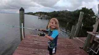 Rylee Rex catches his BIGGEST SAILCAT EVER !  8-5-19. in Manasota Key, Florida, Gaff Top Catfish