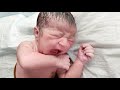 From First Cry To First Dress A Newborn S Wonderful Beginning