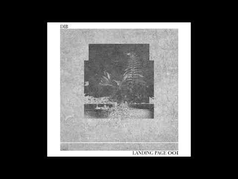 DIB - Landing Page 001.2