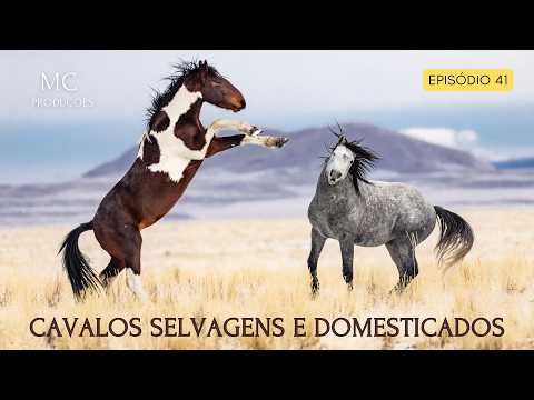 Wild and Domesticated Horses - An Ancestral Bond.