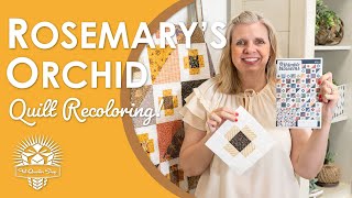 🤩 Gorgeous Quilt Mash Up of Thimble Blossoms + Blackbird Designs 🐦‍⬛🧵🌼 Fat Quarter Shop