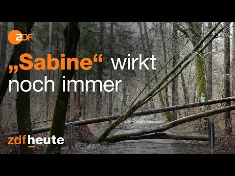 Orkan „Sabine“: Nachwirkungen weiterhin zu spüren